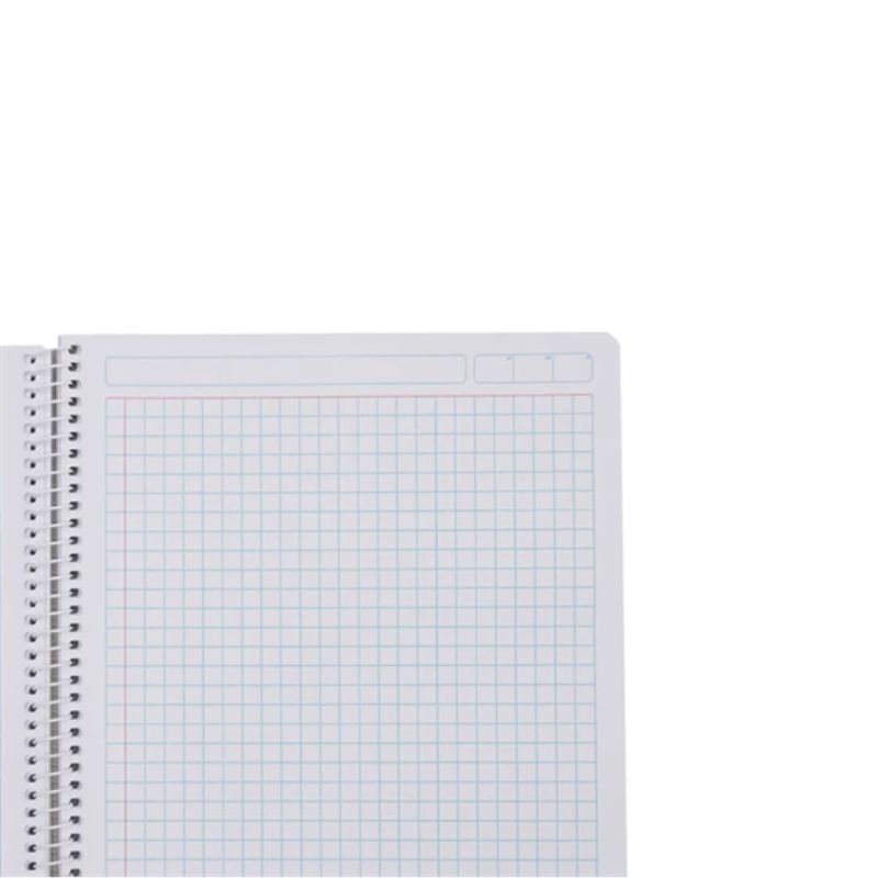 CUADERNO PROFESIONAL CUADRO GRANDE C7 100 HOJAS ESPIRAL, CUADGRP24
