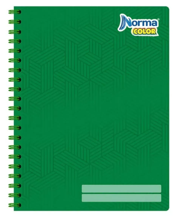 LIBRETA NORMA PROFESIONAL CUADRO CHICO DE 100 HOJAS #C5   1311